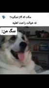 سگ خوب😂 ‌