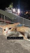 لبخند تو خیلی برام مهم پس غمگین نباش 🤝😁