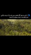 Pov:منو دوستم بعد از اینکه دهنمون باز شد🤣