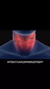 افکار ناگفته: چالش بیان احساسات درونی