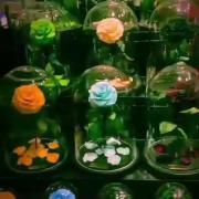 نمیچینم گلی که برات خار داشته باشه 🌹💖🔗🦋🫀 
