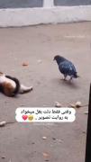 :)‌‌‌‌‌‌‌‌‌‌‌‌‌‌‌‌‌‌‌‌‌‌‌‌‌‌‌‌