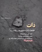 ذات مورچه ها......:)))))))))))