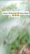 من به خاطر خندیدن به این میرم جهنم 😂🥲💔