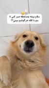 ــــــــــــــــــــــــــــــ