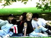 °••°°••°°••°°••°°•°°••°°•☆straykids☆