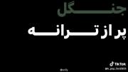 جنگل چه سبز و زیباست .
