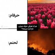 نمیدونم. . 