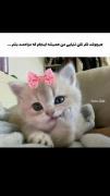 آره دیگه شما اصلا تنها نیستید!🎀😂