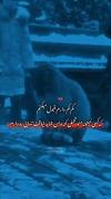 موزیک ویدیو غمگین: احساس تنهایی و دلتنگی