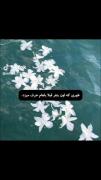 حسبی ربی!‌‌‌‌‌‌‌‌‌‌‌‌‌‌‌‌‌‌‌‌‌‌‌‌. گاد شکرت