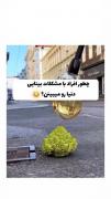 حسبی ربی ‌‌‌‌‌‌‌‌‌‌‌ گاد شکرت---->(توام بگو)