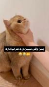 پسرا وقتی دختر لپ دار میبینن :