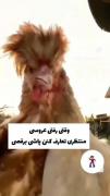 اینا دقیقا رفیقای منن😐😂😂😂خود خودشونن