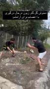 روایت دمنوش گل گاوزبون و اعصابم😂😂😂