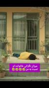 میزان مکرانی خانواده🤧😂😂‌ ‌ ‌