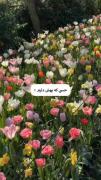 جوری که حرف میزنم...............((: