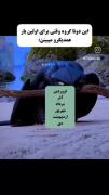این دودسته از متولدین وقتی برای اولین بار همدیگرو میبینن