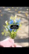 مثل‌گلا‌‌‌‌ ‌‌‌‌‌‌‌‌‌‌‌ ‌‌‌ ‌‌‌‌ ‌‌‌‌‌
