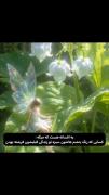 افسانه زیبای چشم سبز: آیا آنها فرشته بودند؟