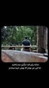 ستاره برای فرد دیگری می درخشید، اما این من بودم که بهش خیره میشدم=))))