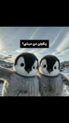 ୨٭_٭୧پنگوئن من میشی؟ ୨٭_٭୧ لایک یادتون نره
