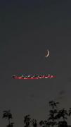 به امید یک شب....................
