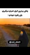کالاف دیوتی گیمر 138400000000