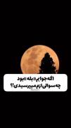 اگر جواب من بله بود چه سوالی ازم میپرسیدی🧸🫂