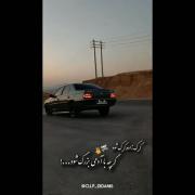 گرگ زاده گرگ شود گرچه با آدمی...