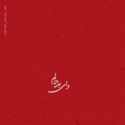 {قلب هایمان برایت به درد آمده است..یا زینب کبری س..}