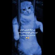 اییییییییینجوریییییییییییییااس....😂