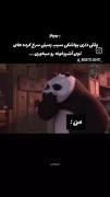 وقتی یواشکی سیب‌زمینی سرخ‌کرده می‌خوری: میم طنز پاندای کونگ‌فوکار