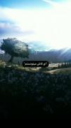 بدون عنوان... . 