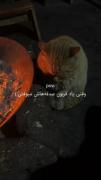 اون حرفارو واسه یکی دیگه میگه رفیق..