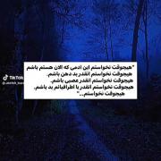 من هیچوقت نخواستم:)...........