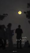 ـــــــــــــــــــــــــــــ💔💔