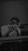 گل منو اهلی کردن بر میگردن به من میخنندن 