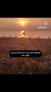 وقتی عاشقتم و نمیتونم بهت بگم❤️