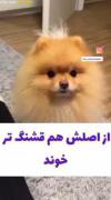 چقددد خوب میگ خدایی😂🤌‌‌‌‌‌‌‌‌‌