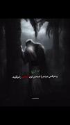 کلام دلنشین امام علی (ع) درباره تنهایی و حکمت مردم