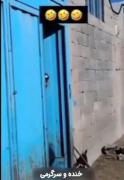 چه استقبالییییییی ................