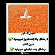 سوال های کنکور دقیقا همینه‌‌‌‌