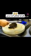 فقط یه ایرانی میتونه این بلا رو بیاره سر ماهی