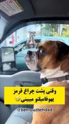 وقتی پشت ترافیک یکی از فامیلاتو میبینی😂😂