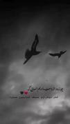 سکوت قشنگه وقتی همه دروغ میگن:🖤✨