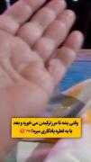 نمی‌دونم چرا از این پدرسگ اینقدر بدم میاد😂🔪