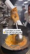 هعی چی بگم 😔💔😂.............‌