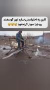 پرواز با گوسفند: یک اختراع خنده دار