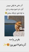 شادی آذر ماهی‌ها برای تولد: رقص گربه بانمک!